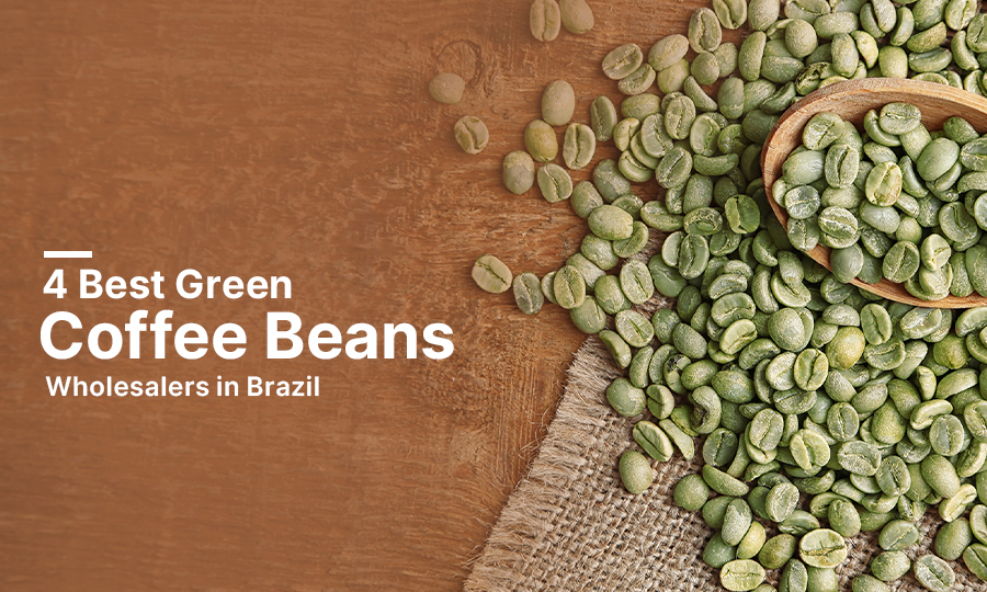 4 Best Green Coffee Beans Wholesalers in Brazil