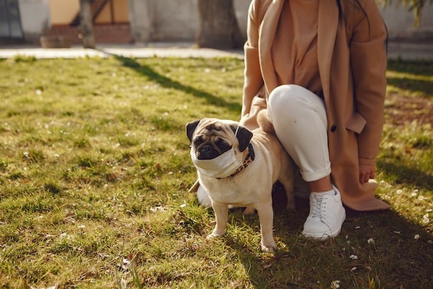 Socialization can lead to fear-based behaviours for English Bulldog puppies